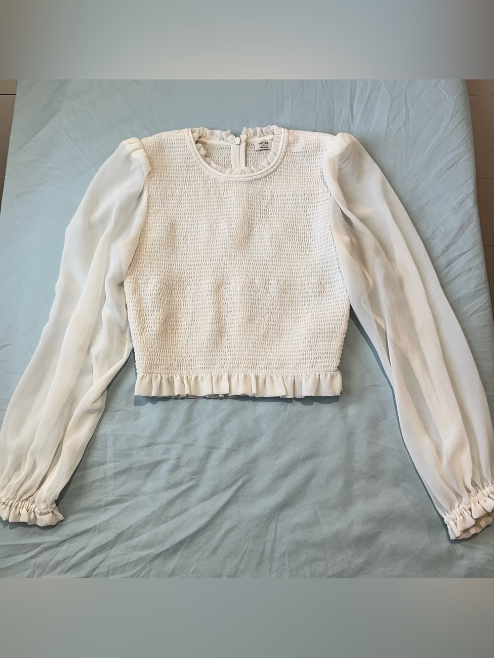 Airitzia Wilfred Smocked Crop Top with Sheer Sleeves | Size S